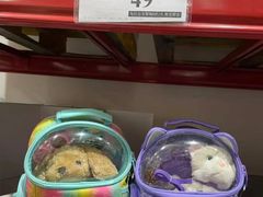 -山姆会员商店(邻瑞广场店)
