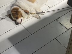 -艾蜜西餐厅(梅园店)