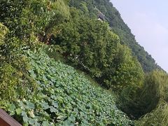 -石榴院子(西施故里店)