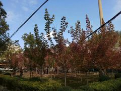 -辽宁大学(崇山校区)