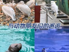 -大连老虎滩海洋公园