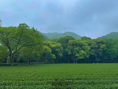 -灵隐飞来峰景区