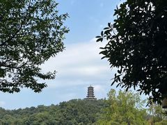 -叶婆婆豆浆馍馍