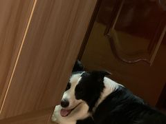 -山与蓝·轻糖鲜果蛋糕(勒泰店)