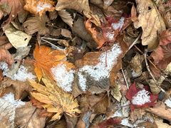 -三块石国家森林公园