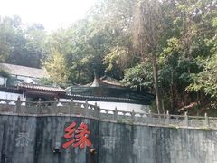 -杭州少年儿童公园