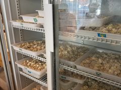 -真真鲜馄饨店(启蒙路店)