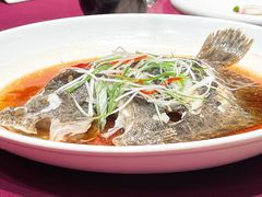 广式蒸多宝鱼-老东吴食府(雅都店)