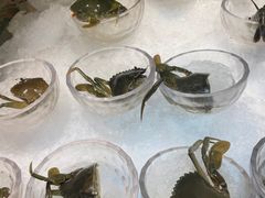 -半岛翡丽海鲜自助餐厅(观风亭店)