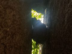 -鲁山国家森林公园