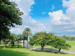-深圳湾公园(南山区)