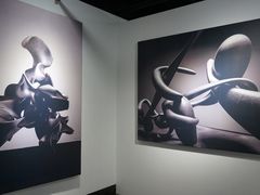 -成都许燎源现代设计艺术博物馆