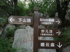 -阳台山自然风景区