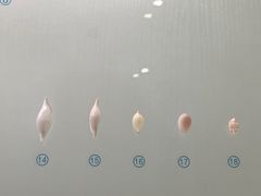 -青岛贝壳博物馆