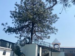 -云禾壹海景庄园餐厅