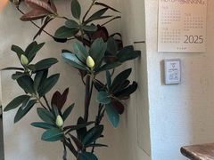 -半勺舒舒(太乙店)