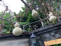 -广州神农草堂中医药博物馆