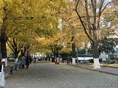 -四川大学(华西校区)