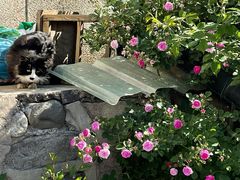 -北京大学(昌平校区)