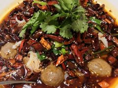 -新吉士·上海菜(浦东LCM置汇旭辉店)