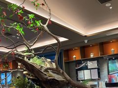 -臻品足道(佛祖岭店)