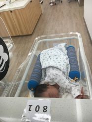 -海豚湾高端月子会所(黄浦店)