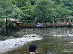 -青峰峡国家森林公园