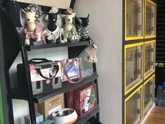-西元前宠物酒店(郑庄府邸店)