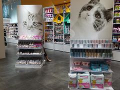 -KKV(深圳宏发大仟里店)