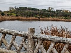 -昆山城市生态森林公园