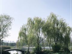 -武汉园博园(武汉自然博物馆)