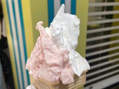 -柠檬车露(卖草地店)