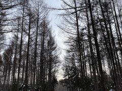 -长春净月潭风景名胜区