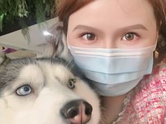 -Husky Go! 哈士奇体验馆·宠物咖啡厅狗咖