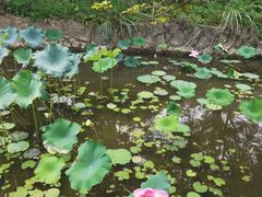 -福建鲤鱼洲酒店