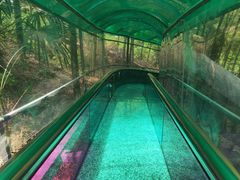 -山沟沟景区