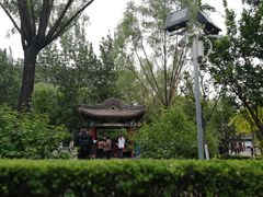 -文瀛公园