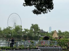 -无锡蠡湖国家湿地公园-蠡园
