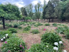 -承德避暑山庄景区