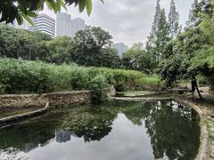 -成都市活水公园