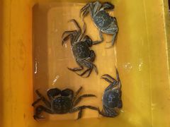 -蟹天蟹地农家菜·阳澄湖大闸蟹(浅水湾店)