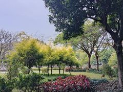 -晓港公园