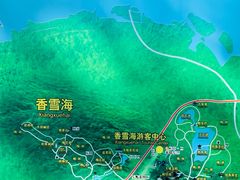 -香雪海