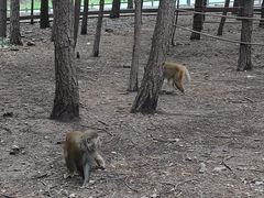-山西通天峡景区