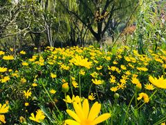 -昆山城市生态森林公园