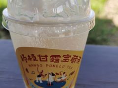 -奈雪的茶(石家庄万象城店)