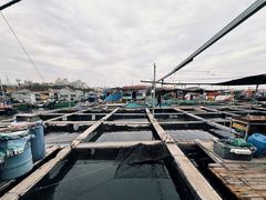 -蓝湾碧波·老字号·疍家非遗海上餐厅