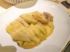 白切葵瓜籽鸡-侨美食家·粤菜(体育西路店)
