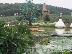 -大塘金香草谷