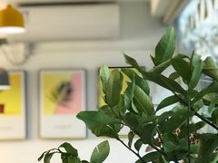 -五进制 Coffee Shop